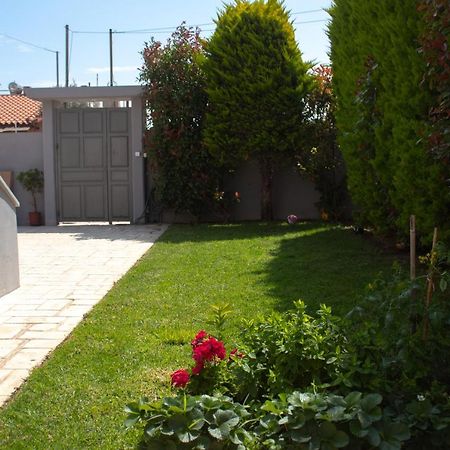 Elias Studio - Near To The Port Of Rafina And The Airport Of Athens Agios Spyridon  المظهر الخارجي الصورة